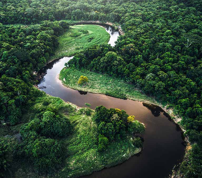 An image of a forest with a spiraling water path 